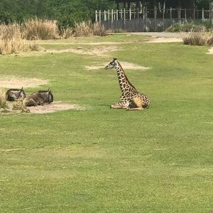 Meet your Posher, Deborah